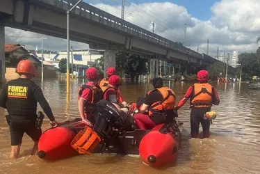 Imagem ilustrativa da imagem Bombeiros capixabas salvam 270 pessoas ilhadas após enchentes no RS