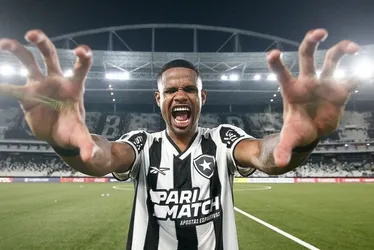 Imagem ilustrativa da imagem Botafogo supera LDU e define futuro na Libertadores fora de casa