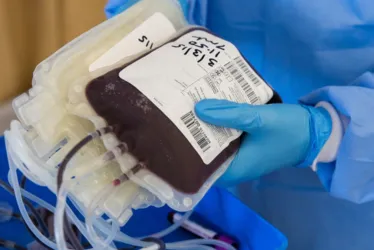 Imagem ilustrativa da imagem Brasil precisa ampliar número de doadores de sangue