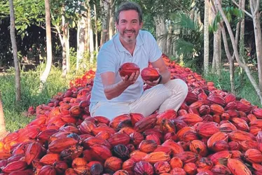 Imagem ilustrativa da imagem Cacau Show vai investir R$ 1 bi para ficar autossuficiente em cacau