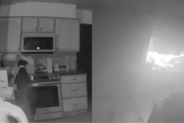 Imagem ilustrativa da imagem Cachorro liga fogão acidentalmente e põe fogo em casa nos EUA