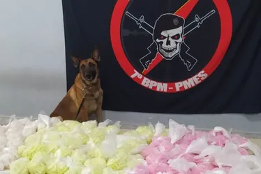 Imagem ilustrativa da imagem Cadela da PM encontra 7 mil pinos de cocaína enterrados em Cariacica