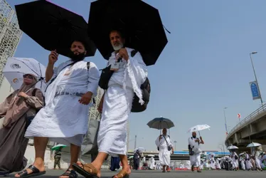 Imagem ilustrativa da imagem Calor acima de 50º mata mais de mil em peregrinação a Meca