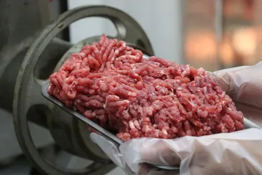 Imagem ilustrativa da imagem Câmara aprova inclusão da carne na cesta básica com alíquota zero