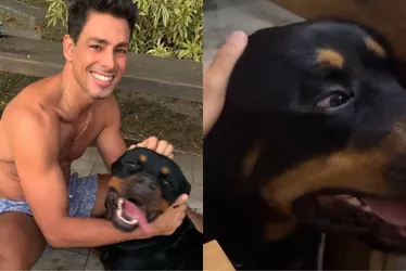 Imagem ilustrativa da imagem Cauã Reymond lamenta morte do cachorro Romeu: 'Nunca pensei que seria tão triste'