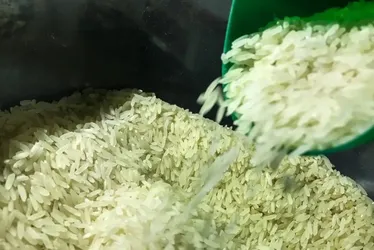 Imagem ilustrativa da imagem Chuva no RS: Brasil vai importar arroz para evitar especulação de preços