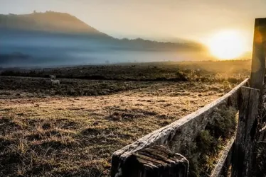 Imagem ilustrativa da imagem Cidade de Santa Catarina registra -7,2ºc, menor temperatura do ano no Brasil