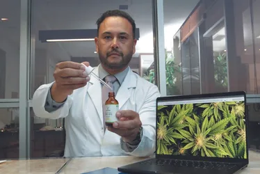 Imagem ilustrativa da imagem Decisão do STF: mitos e verdades sobre uso da maconha