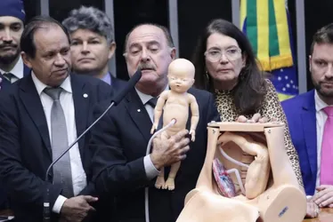 Imagem ilustrativa da imagem Deputado encena aborto em ato contra método de interrupção legal da gravidez