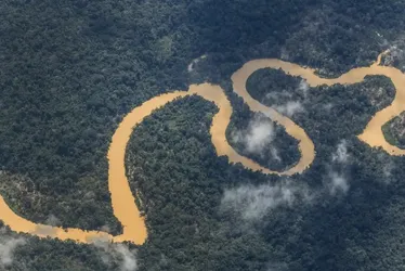 Imagem ilustrativa da imagem Desmatamento cai 62% na Amazônia e 12% em todo o Brasil, aponta MapBiomas