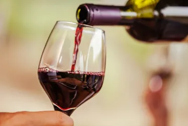 Imagem ilustrativa da imagem ExpoVinhos 2024: especialistas elegem os 30 melhores vinhos da temporada
