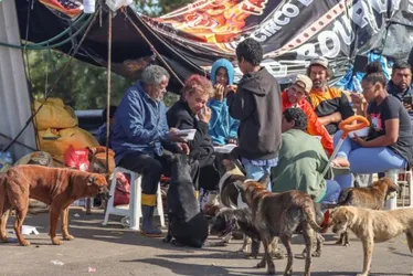 Imagem ilustrativa da imagem Famílias improvisam acampamentos em rodovias para vigiar suas casas no RS