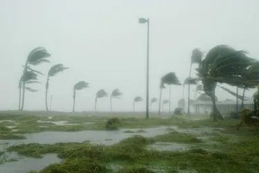 Imagem ilustrativa da imagem Alerta para chuva forte, ventania, trovoadas e queda de granizo no Espírito Santo