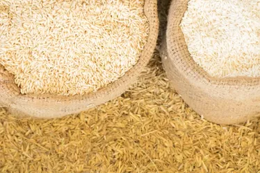Imagem ilustrativa da imagem Governo anula leilão para compra de arroz importado após supostas irregularidades