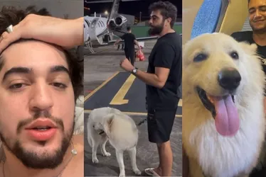 Imagem ilustrativa da imagem Henrique e Juliano ‘roubam’ cachorros de Nattan: ‘Esses caras são malucos’