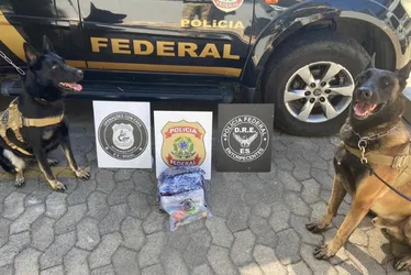 Imagem ilustrativa da imagem Homem é preso após receber encomenda de droga no ES