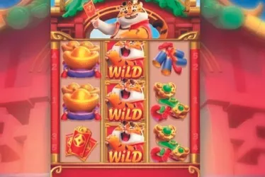 Imagem ilustrativa da imagem Influenciadores de jogos de azar online são alvo de operação no Rio