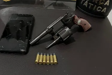 Imagem ilustrativa da imagem Jovens são presos por porte irregular de arma de fogo no Noroeste do ES