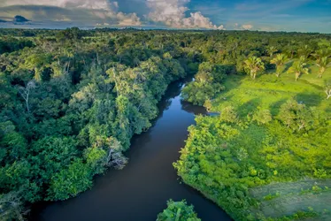 Imagem ilustrativa da imagem Lula cobra agilidade em plano para amazônia