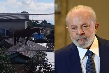 Imagem ilustrativa da imagem Lula diz ter ido dormir inquieto com cavalo ilhado em cima de telhado no RS