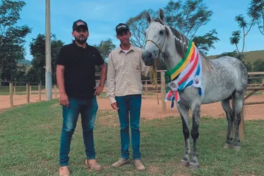 Imagem ilustrativa da imagem Massagem e MPB para tirar cavalos do tédio