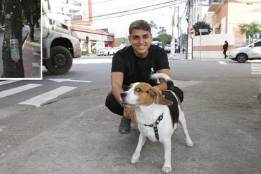 Imagem ilustrativa da imagem Moradores defendem multa por xixi de cães nas calçadas