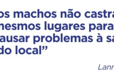 Imagem ilustrativa da imagem Moradores defendem multa por xixi de cães nas calçadas