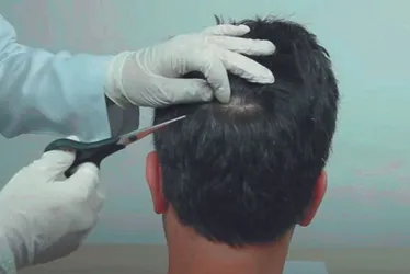 Imagem ilustrativa da imagem Motorista profissional sem exame toxicológico será multado