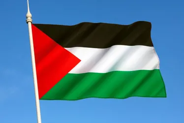 Imagem ilustrativa da imagem Noruega, Irlanda e Espanha anunciam reconhecimento do Estado palestino