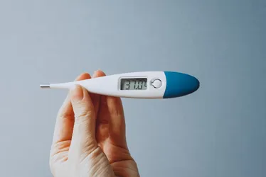 Imagem ilustrativa da imagem O calor de algumas doenças