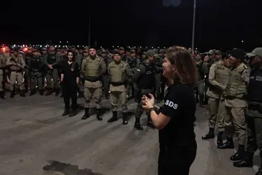 Imagem ilustrativa da imagem Operação conjunta das polícias de Pernambuco e Bahia traz balanço positivo
