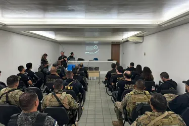 Imagem ilustrativa da imagem Operação contra tráfico de drogas mobiliza 300 policiais em 14 cidades de PE