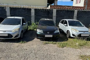 Imagem ilustrativa da imagem Operação da polícia apreende drogas e quatro carros em marmoraria na Serra