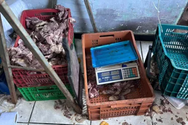 Imagem ilustrativa da imagem Operação integrada apreende carne clandestina em Vila Velha