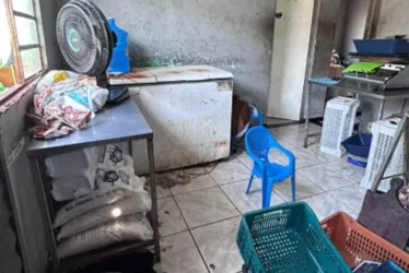 Imagem ilustrativa da imagem Operação integrada apreende carne clandestina em Vila Velha