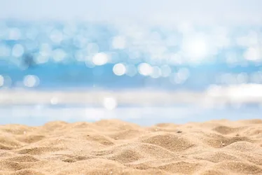 Imagem ilustrativa da imagem 'PEC das Praias' ameaça manguezais e restingas, dizem ambientalistas