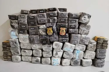 Imagem ilustrativa da imagem PF prende três homens transportando 52 quilos de haxixe no Recife