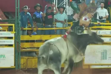 Imagem ilustrativa da imagem Peão é arremessado e pisoteado por touro durante rodeio em MG