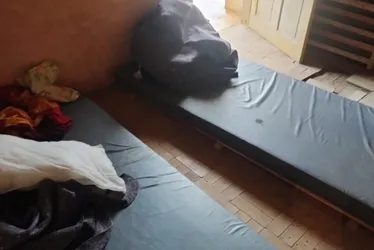 Imagem ilustrativa da imagem Polícia resgata 11 trabalhadores em condição análoga à escravidão no ES