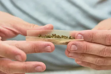 Imagem ilustrativa da imagem Quantidade de maconha liberada pelo STF pode render de 40 a 133 baseados
