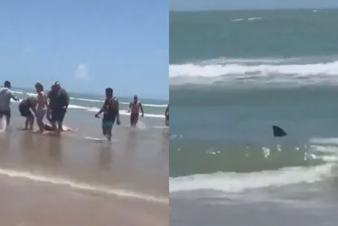 Imagem ilustrativa da imagem Quatro pessoas ficam feridas após ataque de tubarão em praia dos EUA