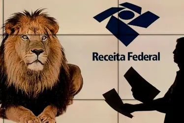 Imagem ilustrativa da imagem Receita abre consulta a lote da malha fina do Imposto de Renda