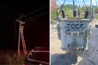 Imagem ilustrativa da imagem Rede de energia clandestina é descoberta e desmontada em Itaúnas