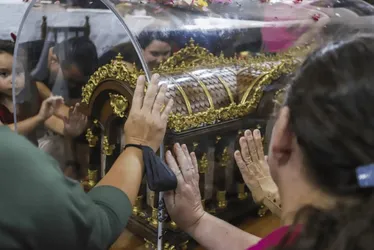 
          Imagem ilustrativa da imagem Relíquias de Santa Teresinha chegam ao ES
          