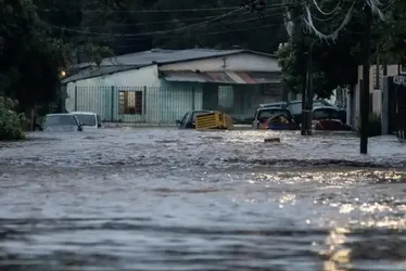 Imagem ilustrativa da imagem Rio Grande do Sul investiga mais de 800 casos de leptospirose