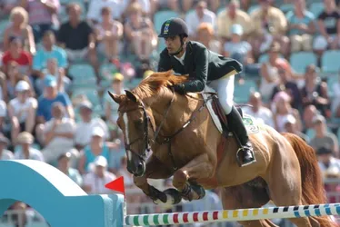 Imagem ilustrativa da imagem Rodrigo Pessoa lidera equipe brasileira de hipismo em Paris-2024