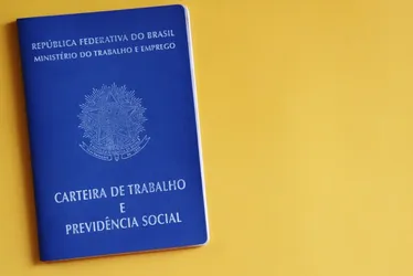 Imagem ilustrativa da imagem 5 mil empregos em 15 cidades do ES para contratação imediata