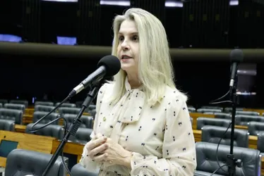 Imagem ilustrativa da imagem Soraya Manato pode disputar a Prefeitura de Vitória
