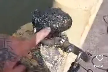 Imagem ilustrativa da imagem Suposta bomba na ponte da Capunga altera trânsito na Madalena