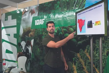 Imagem ilustrativa da imagem "Sustentabilidade Brasil": Inteligência artificial vai monitorar florestas